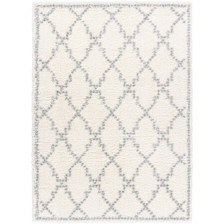 Livabliss Deluxe Shag DXS-2305 Machine Crafted Area Rug DXS2305-6796